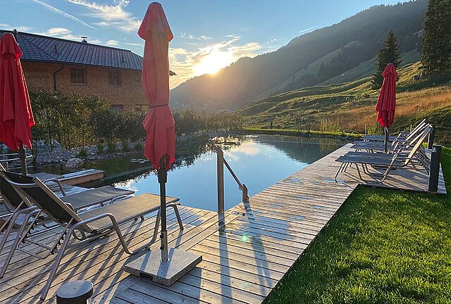 Natur Schwimmteich Natur Schwimmteich