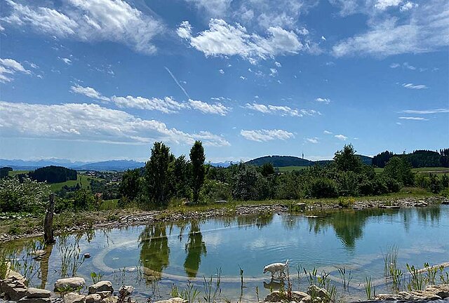 Schwimmteich Schwimmteich